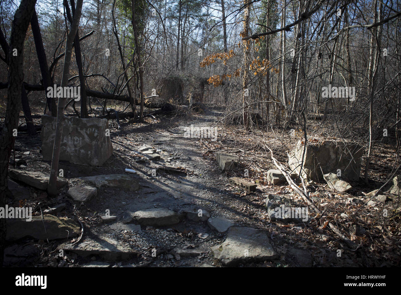 March 4, 2017 - Summerville, GA - Crumbled remains of 'Corpsewood Stock