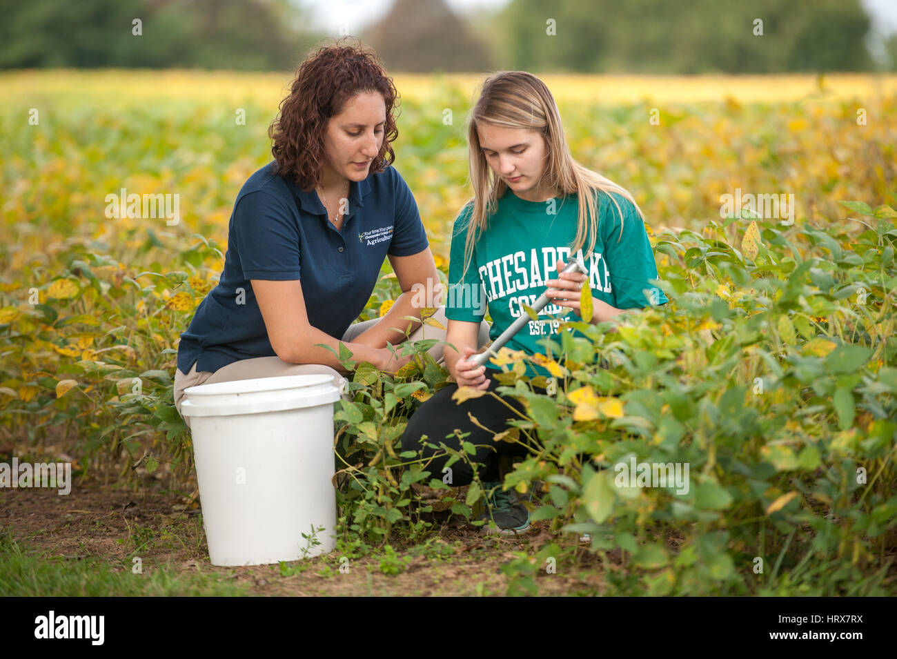 Students farming in Field Fiorello Stock Photo