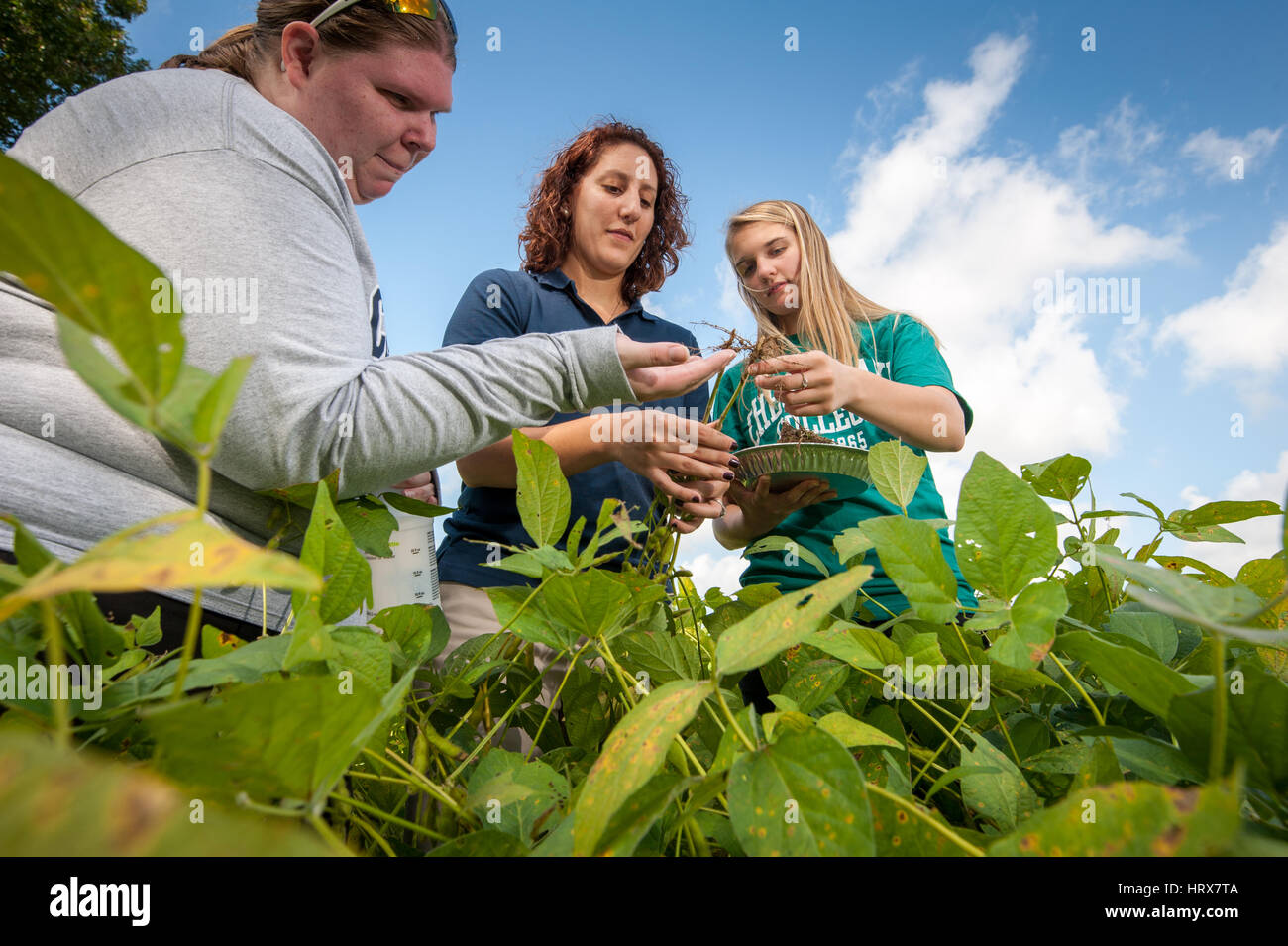 Students farming in  Field Fiorello Stock Photo