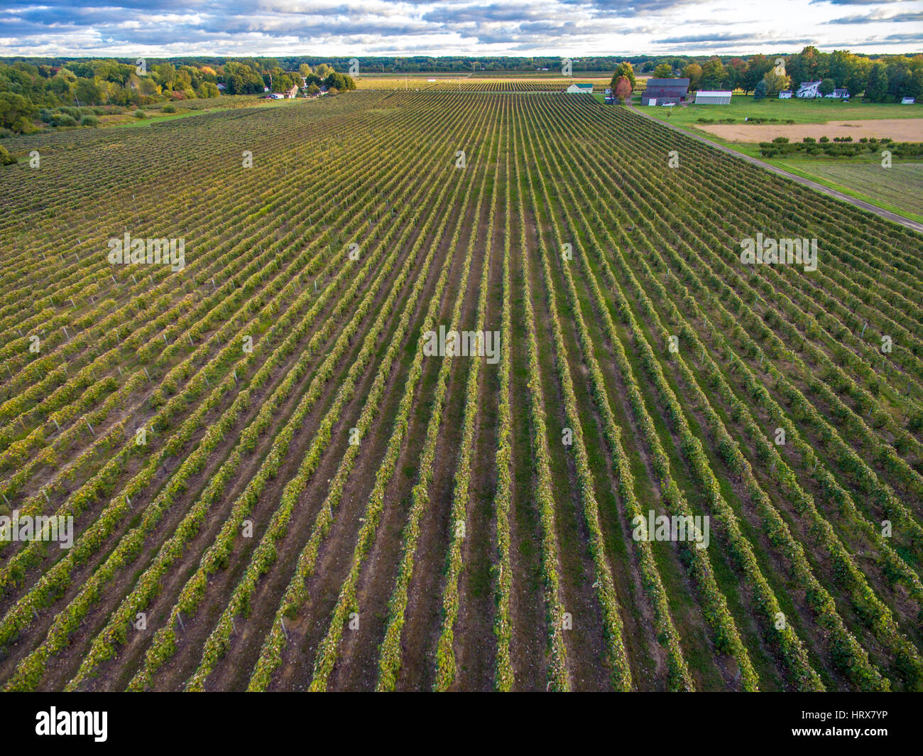 Farm in Erie County Pennsylvania Stock Photo Alamy