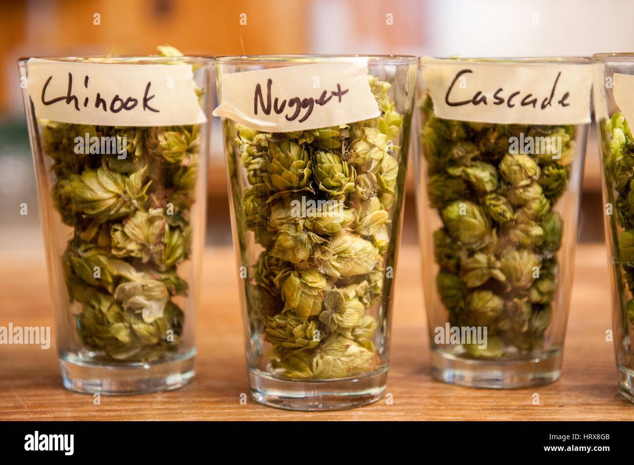 Various types of hops Stock Photo Alamy
