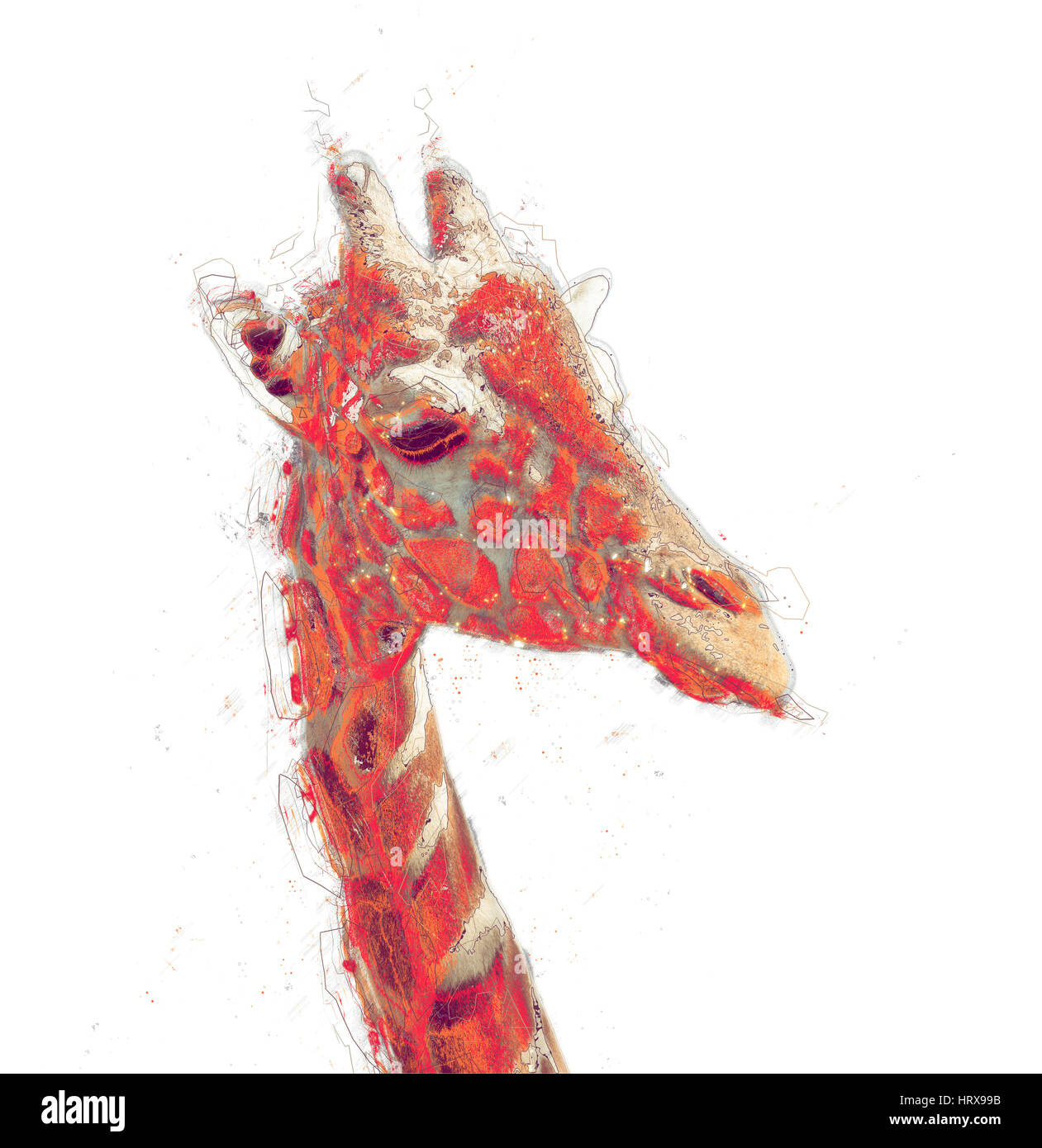 Aztec Giraffe Head Drawings