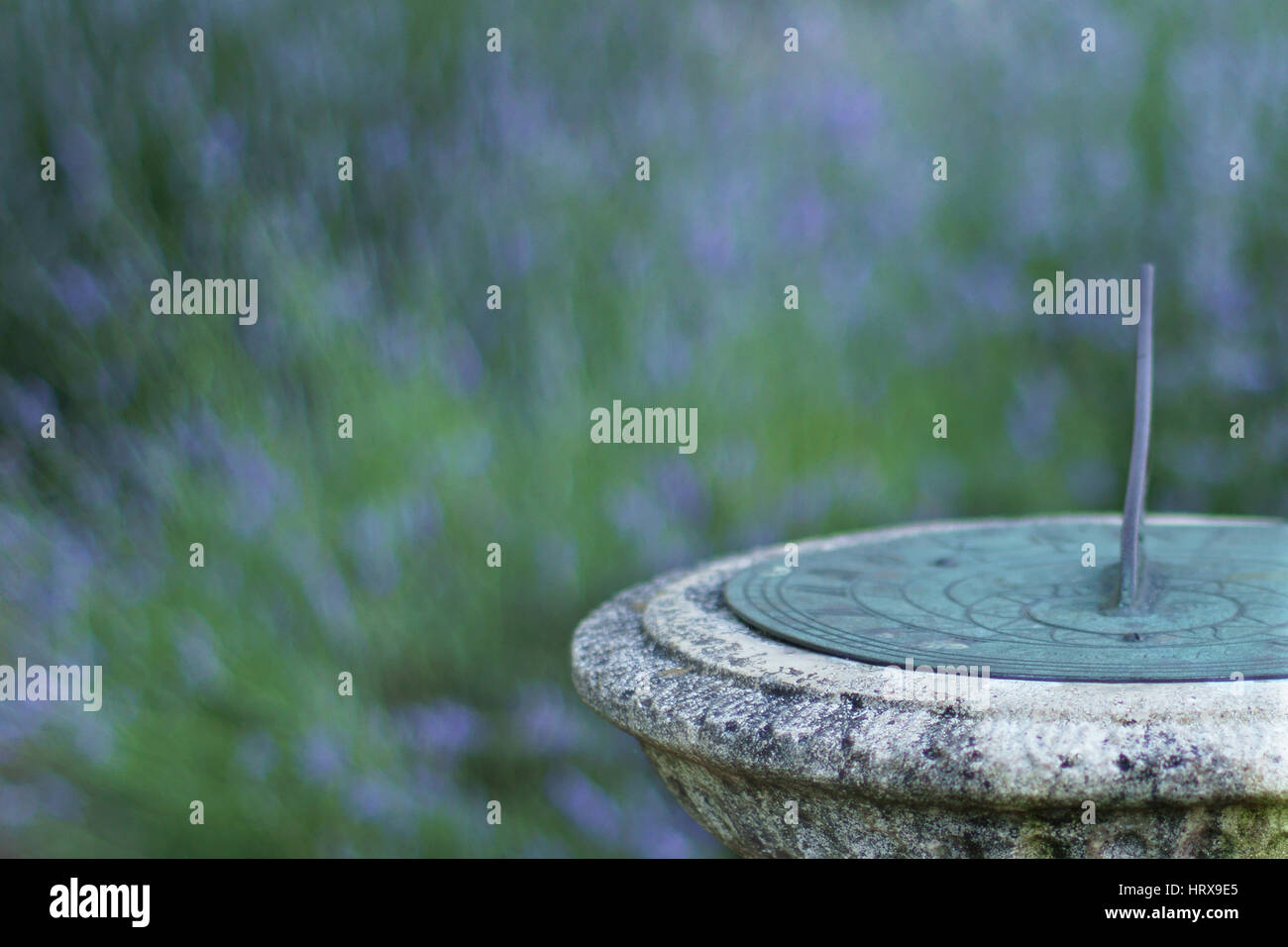 Sundial and lavender Stock Photo