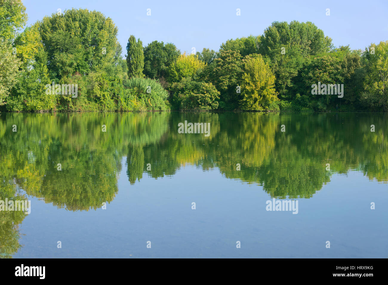 Forest reflection on the lake , background landscape Stock Photo - Alamy