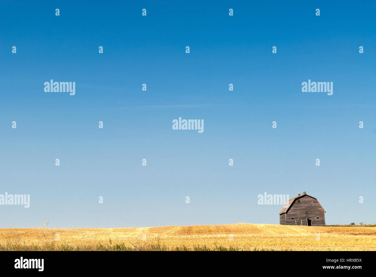 Typical Saskatchewan farmland Stock Photo