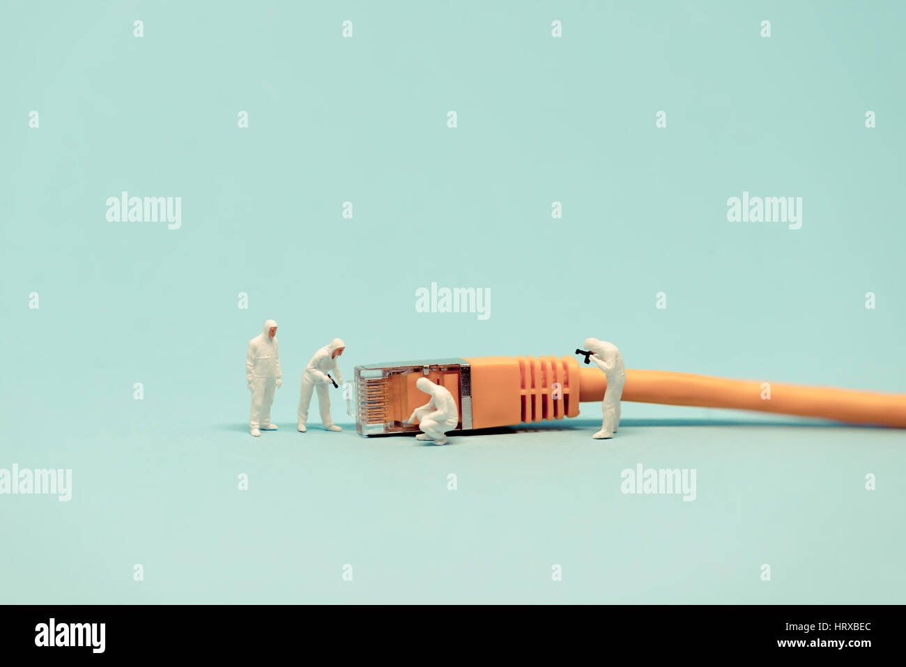 Specialists with network cable. Macro photo Stock Photo Alamy