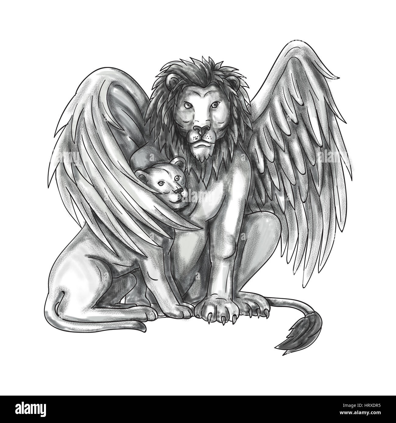 Tattoo style illustration of a winged lion, a mythological creature that resembles a lion with bird-like wings, protecting its cub by putting it under Stock Photo