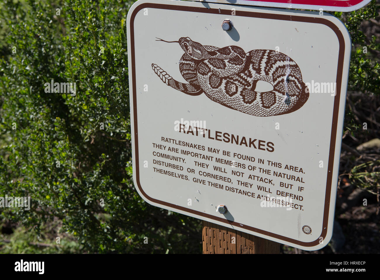 Rattlesnake warning sign Stock Photo Alamy