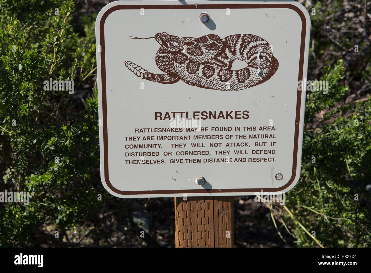 Rattlesnake warning sign Stock Photo Alamy