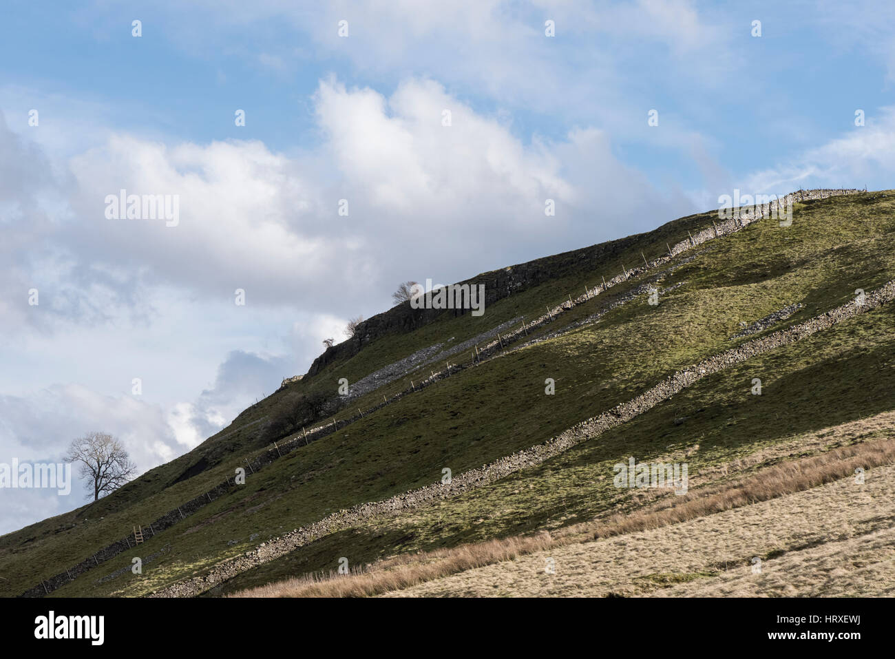 North side of Penhill, West Witton, Yorkshire Dales, showing parallel