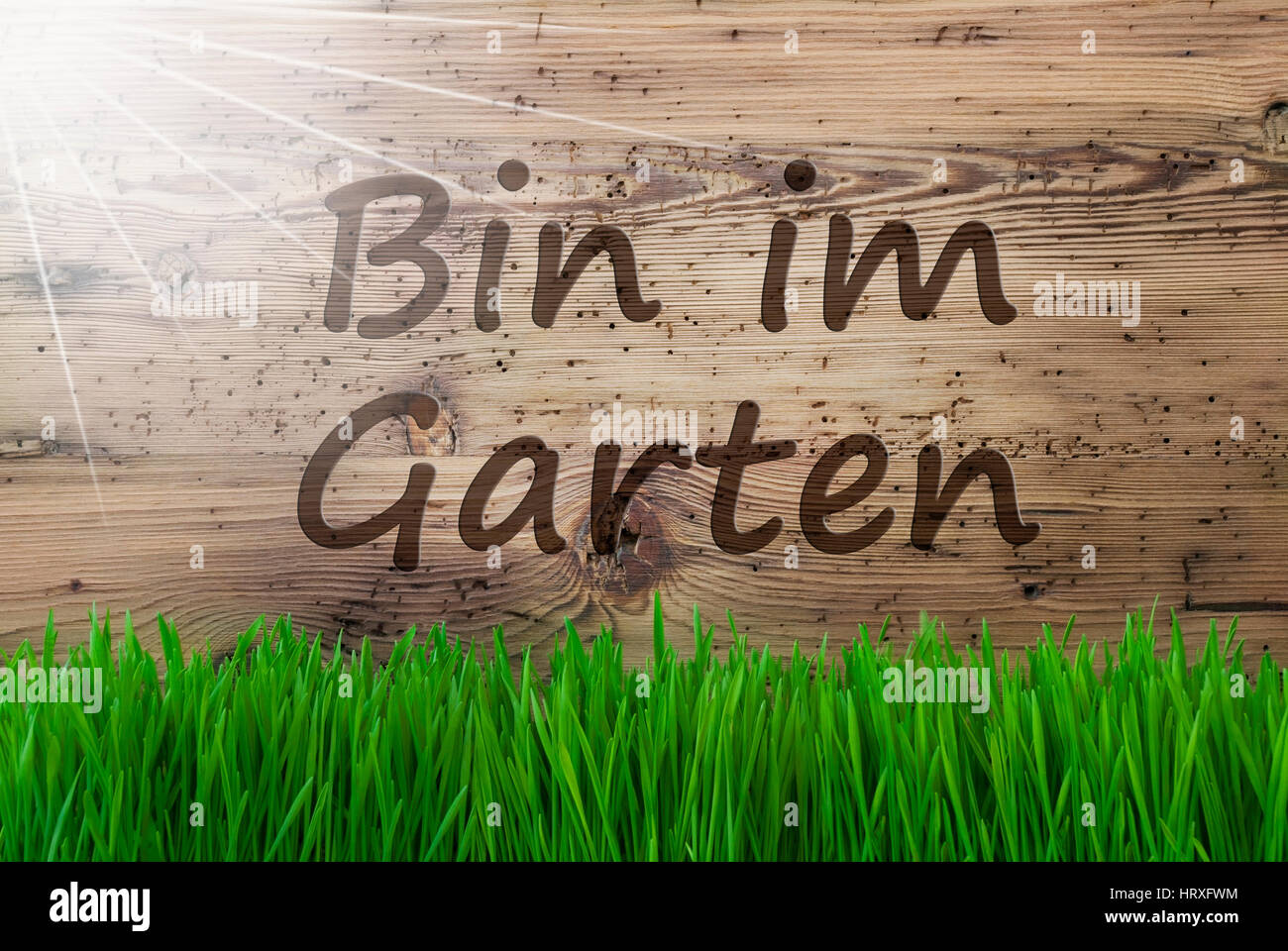 German Text Bin Im Garten Means I Am In The Garden. Spring Season