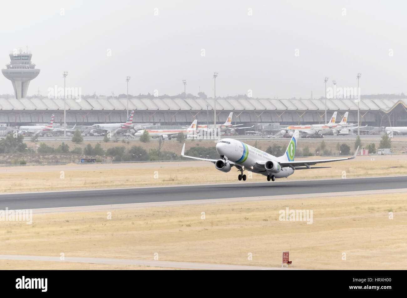 Plane Boeing 737, of Transavia, Dutch lowcost airline airline, is