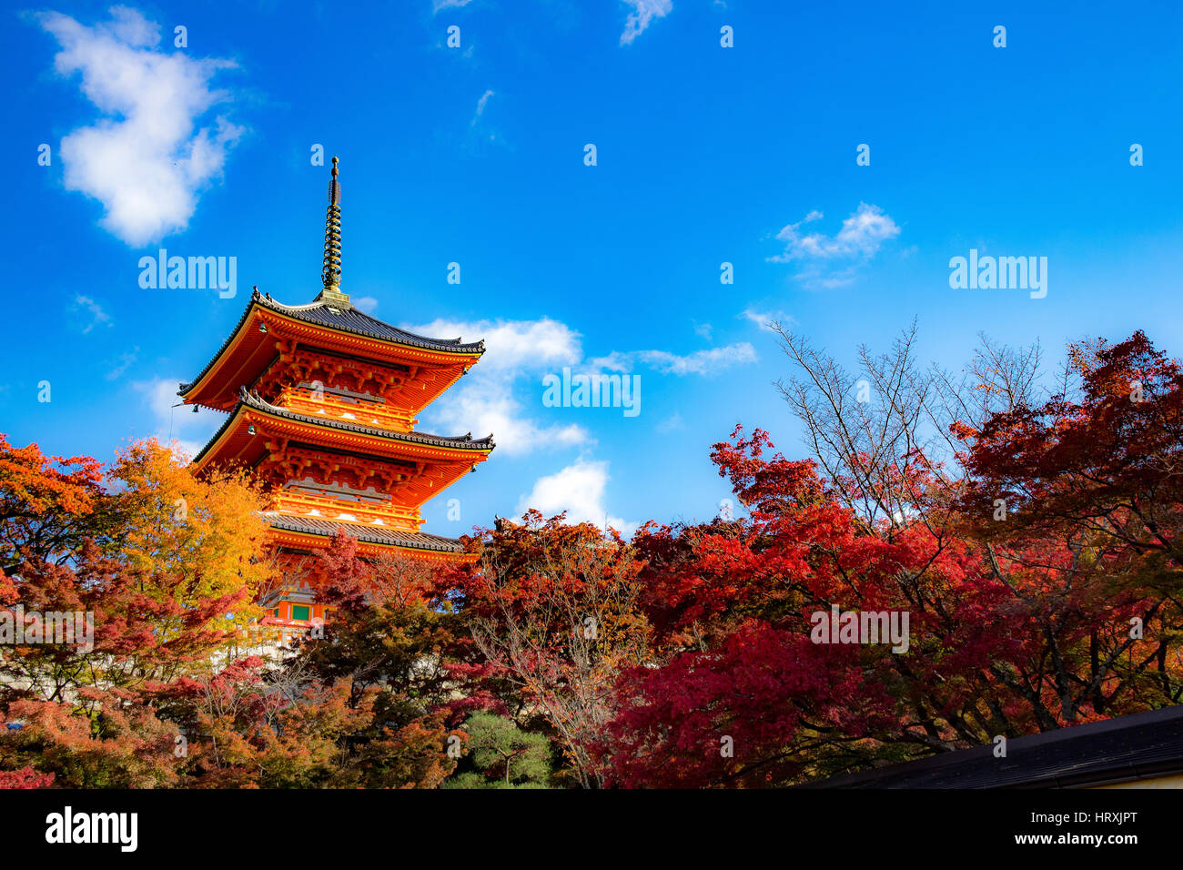 Attraction in Japan. The Kiyomizu temple, Kyoto, Japan. Stock Photo