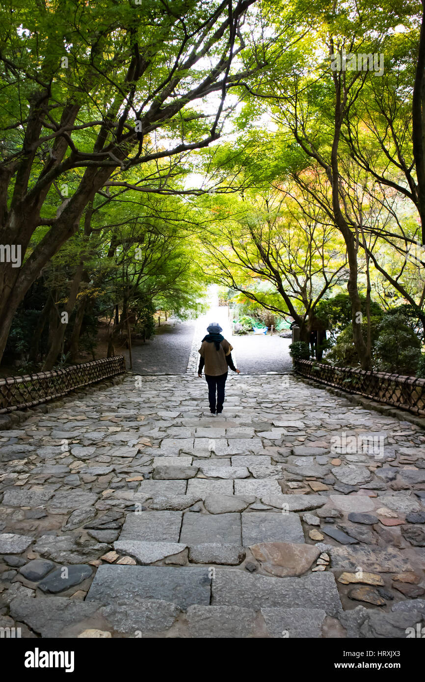 Walkway of the dry leaves in the autunm at Japan. Stock Photo
