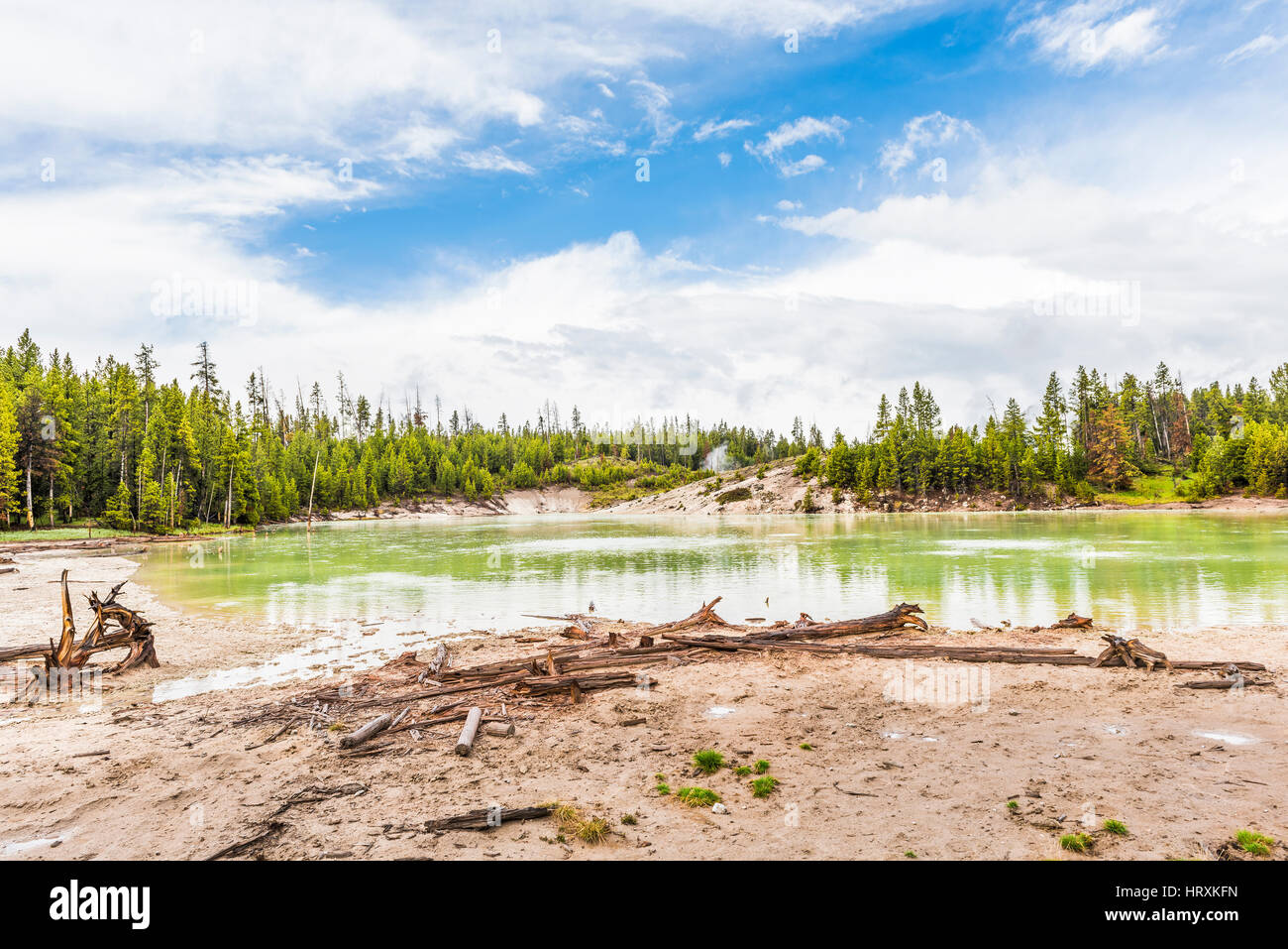 Green Sour lake in Yellowstone National Park at Mud Volcano area Stock Photo Alamy