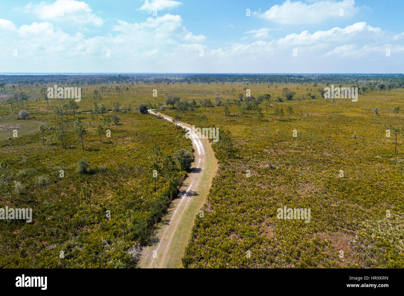 Lake Wales Florida,SUMICA,Central Florida hiking trail,prairie,aerial overhead from above view,visitors travel traveling tour tourist tourism landmark Stock Photo