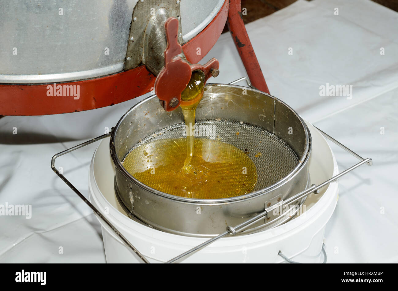 Harvesting honey with centrifuge Stock Photo Alamy