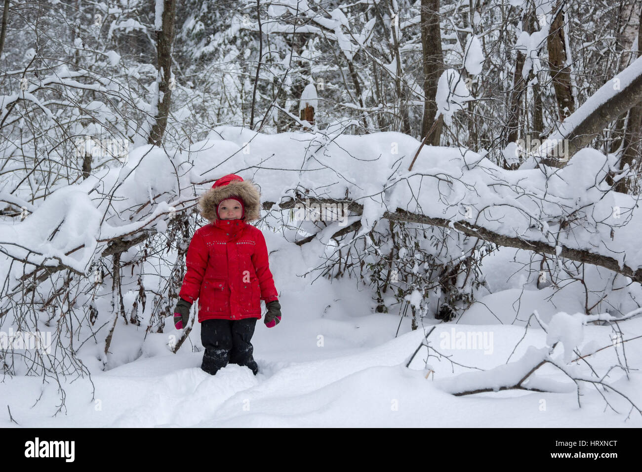 little girl in a red jacket in a snowy forest Stock Photo - Alamy