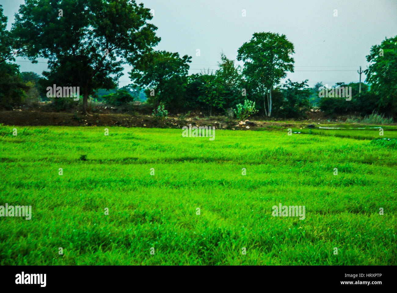 India greenland hires stock photography and images Alamy