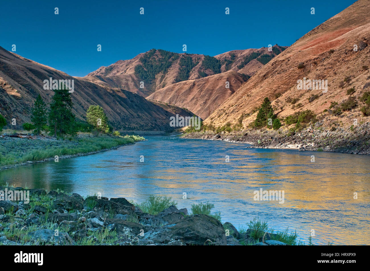 Salmon river canyon hires stock photography and images Alamy