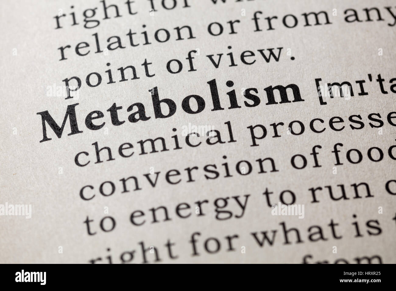 Fake Dictionary, Dictionary definition of the word metabolism. including key descriptive words. Stock Photo