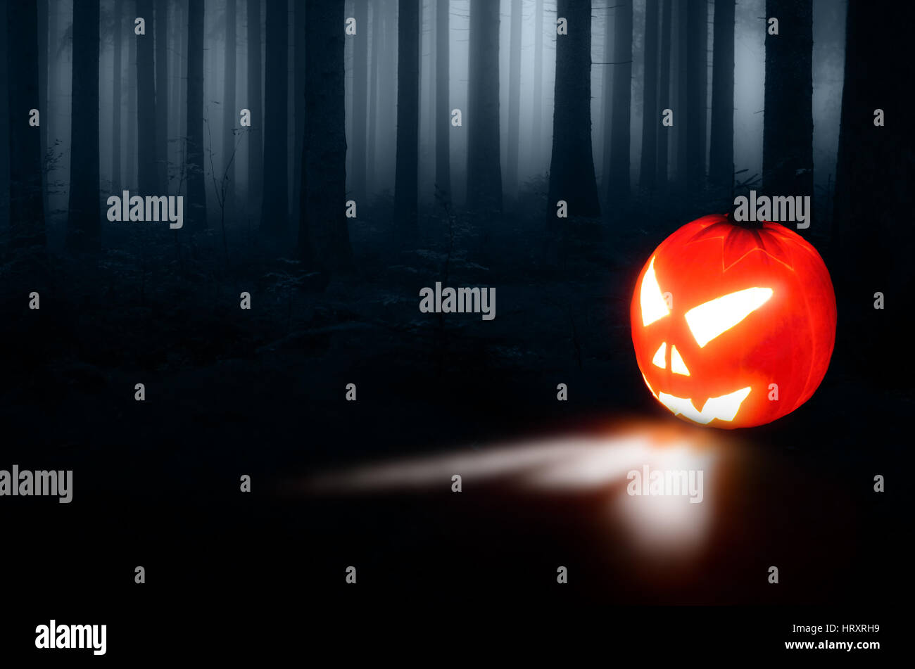 Halloween pumpkin illuminated on dark forest background Stock Photo - Alamy