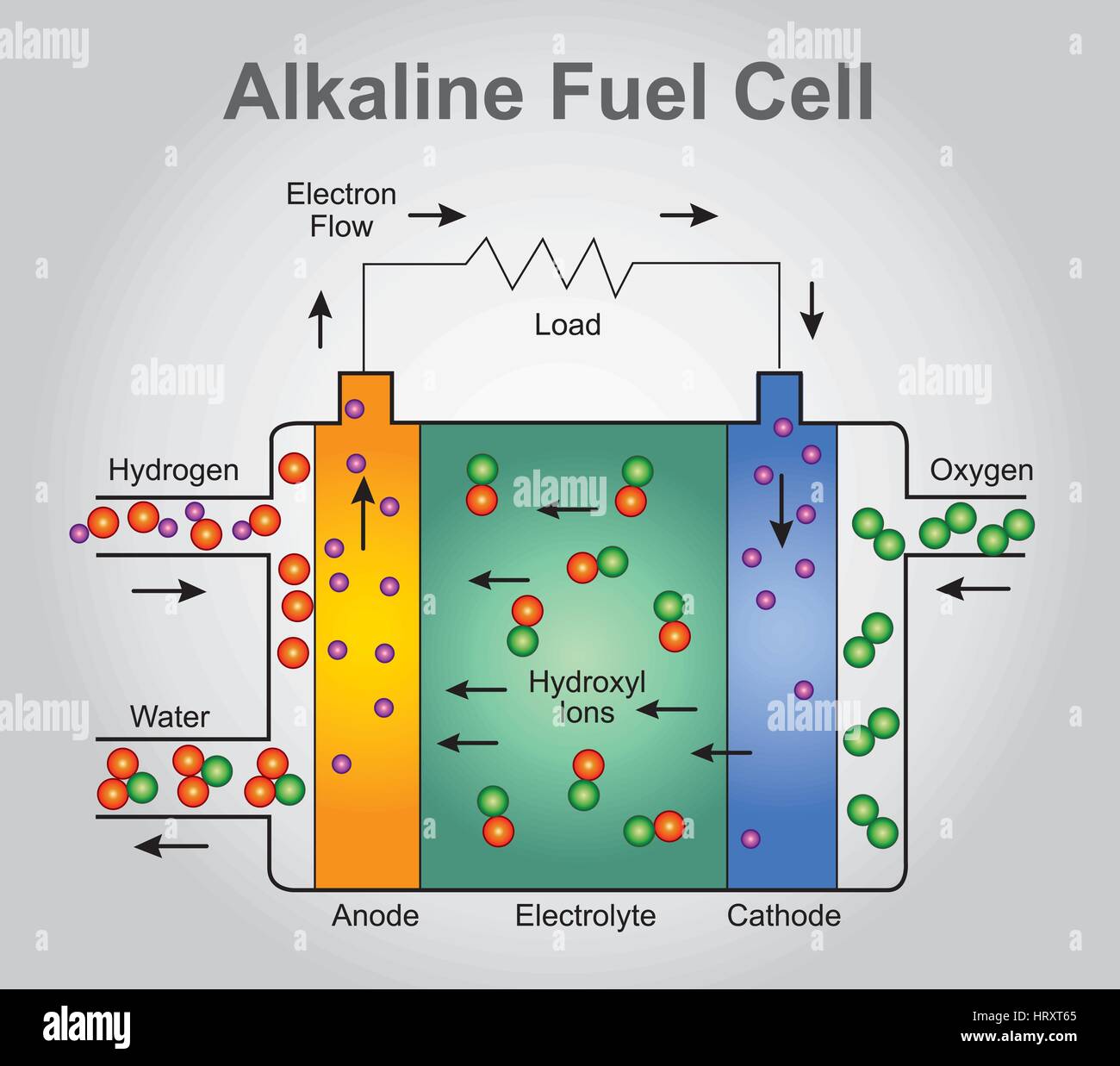The alkaline fuel cell, also known as the Bacon fuel cell after its British inventor, Francis Thomas Bacon, is one of the most developed fuel cell tec Stock Vector