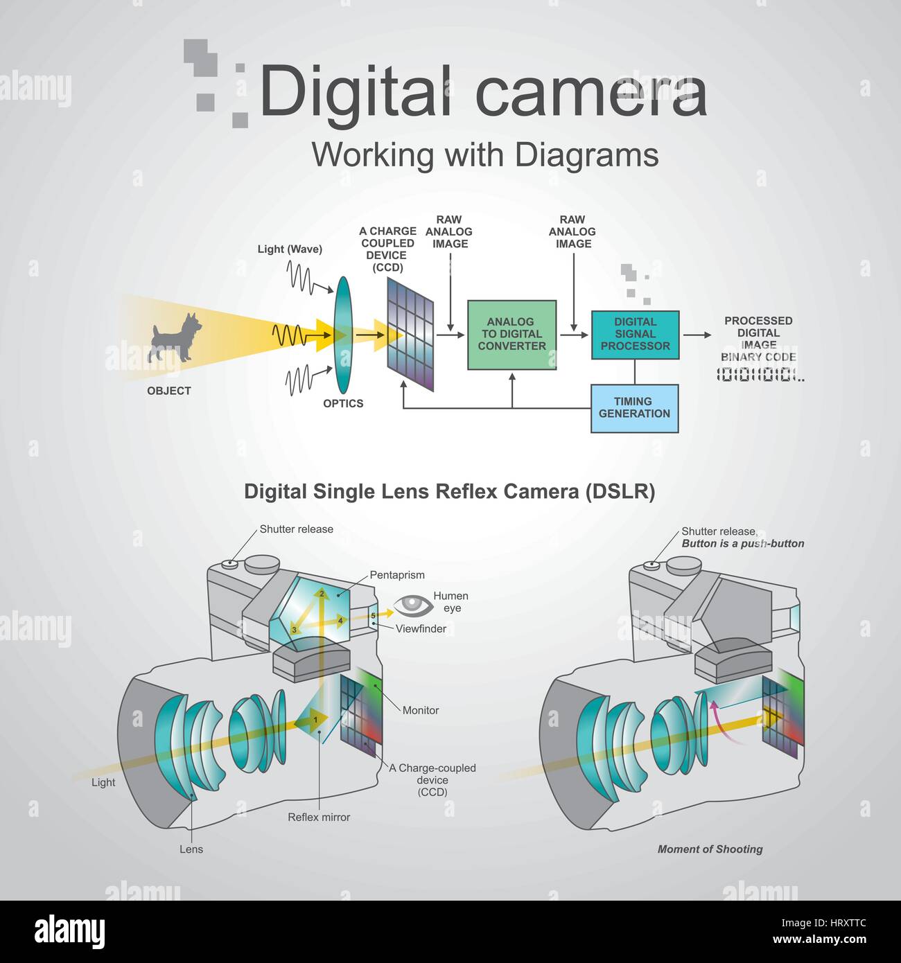 A digital single-lens reflex camera is a digital camera that combines the optics and the mechanisms of a single-lens reflex camera with a digital imag Stock Vector