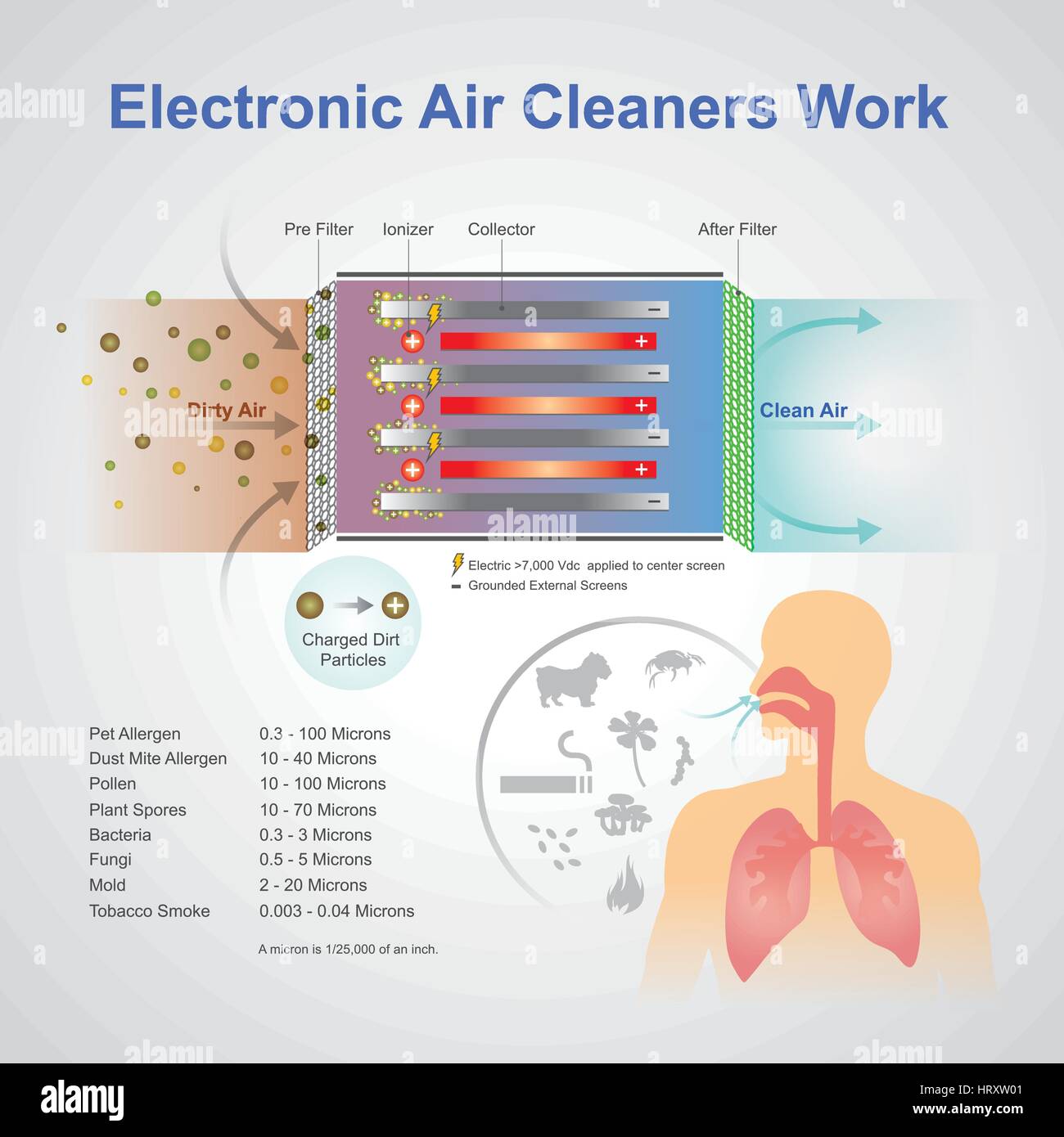 An air purifier is a device which removes contaminants from the air in a room. These devices are commonly marketed as being beneficial to allergy suff Stock Vector
