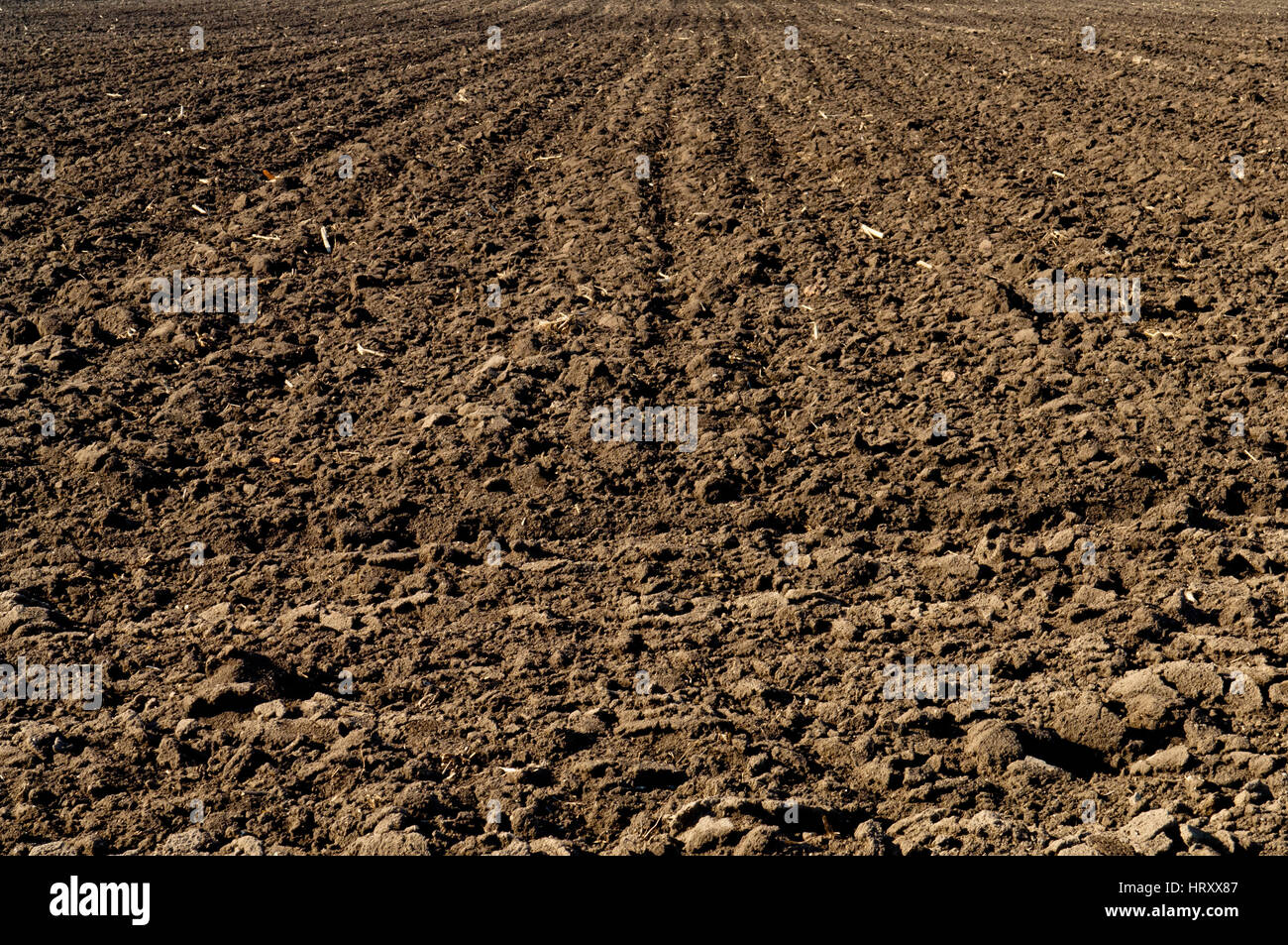 Plowed black soil in agricultural field Stock Photo Alamy