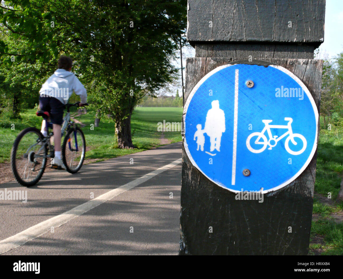 cyclists should not be allowed on the road