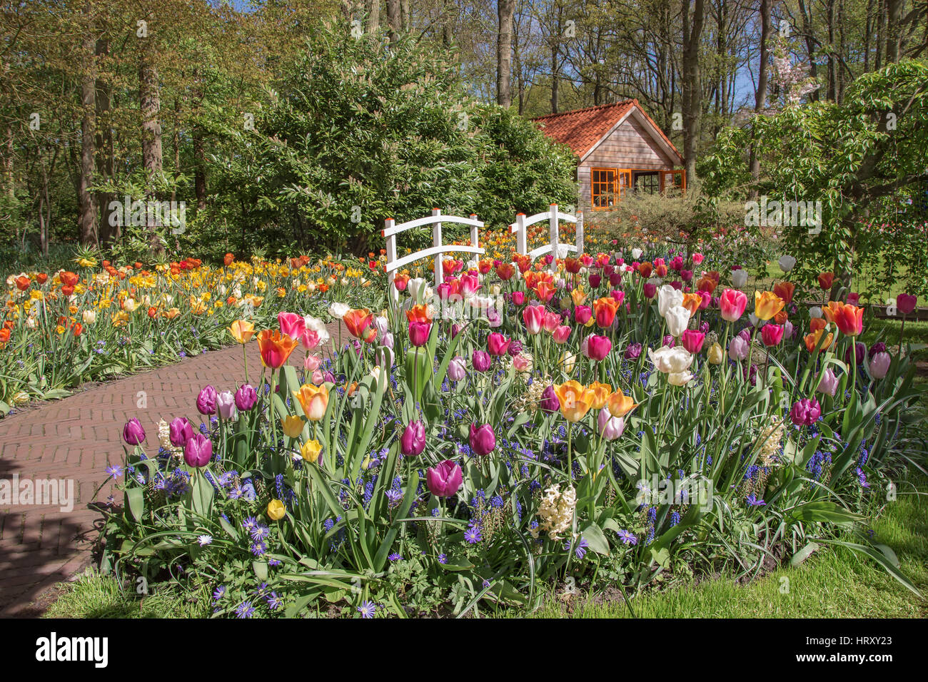 The Keukenhof is de most beautiful flower park in the world Stock Photo