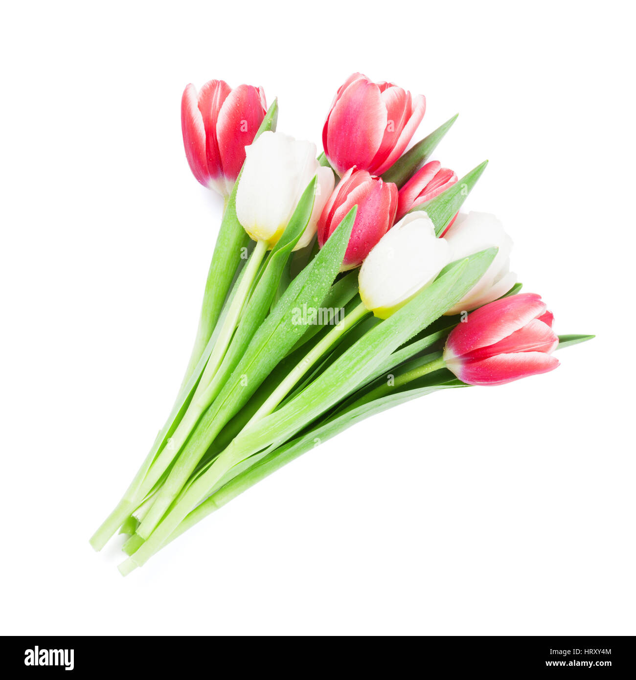 Colorful tulips bouquet. Isolated on white background Stock Photo - Alamy