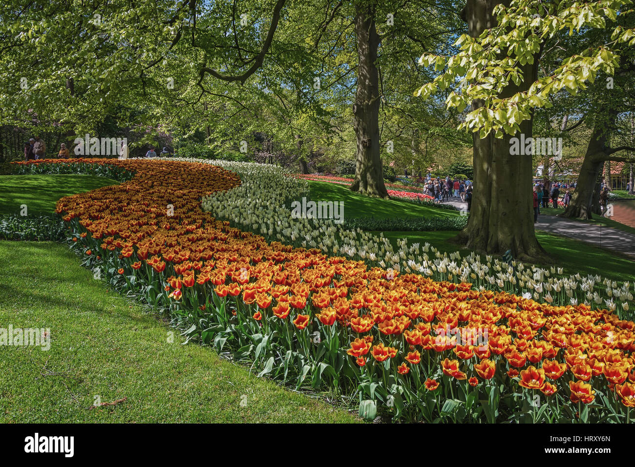 Lisse, Netherlands May 4, 2015 Visitors to Keukenhof, the largest