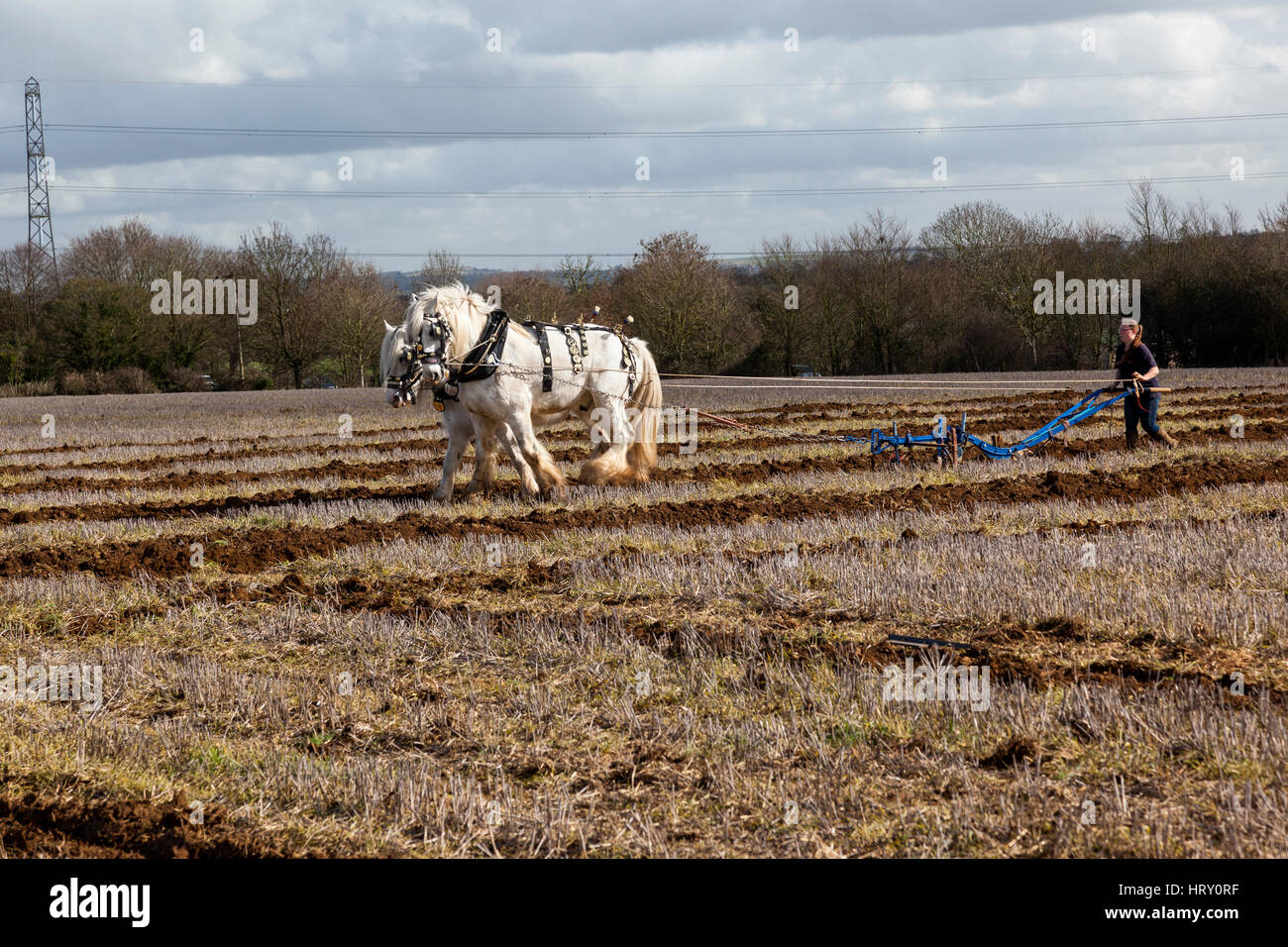 Ploughing Match held in Trowbridge, Wiltshire England, UK Stock Photo