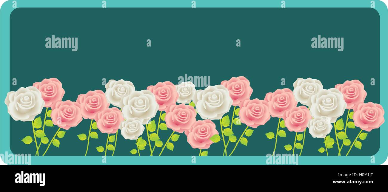 colorful rectangular frame with roses garden floral design Stock Vector