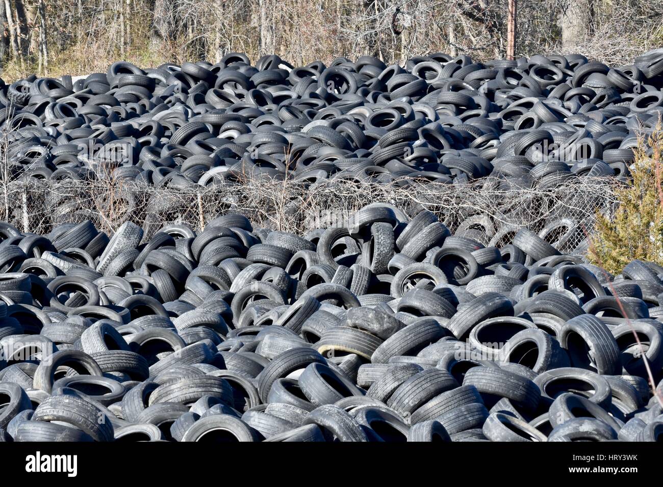 Used tire graveyard Stock Photo Alamy