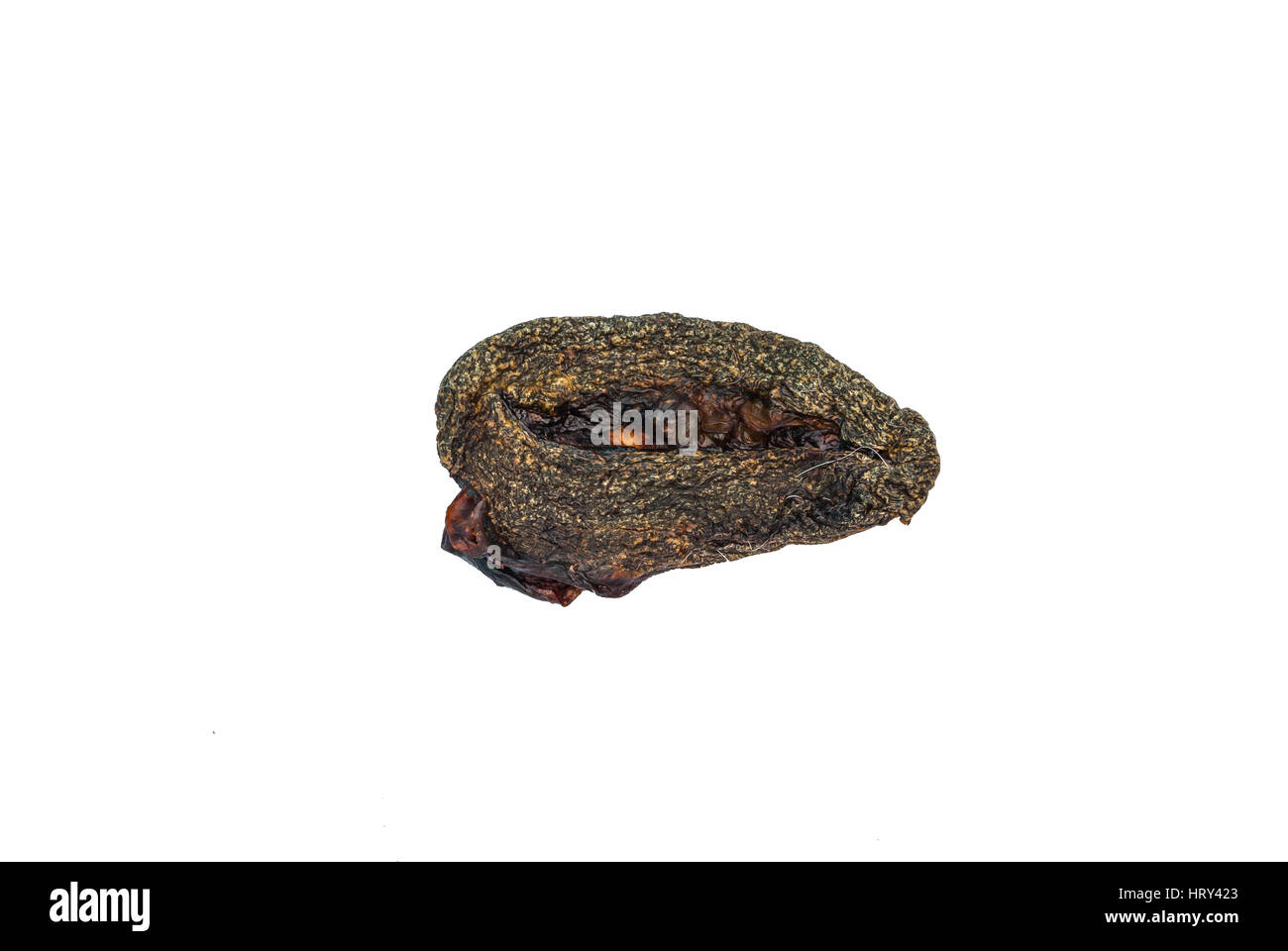 Complete Dried Cat Placenta, Amulet in Thailand, Isolated Stock Photo