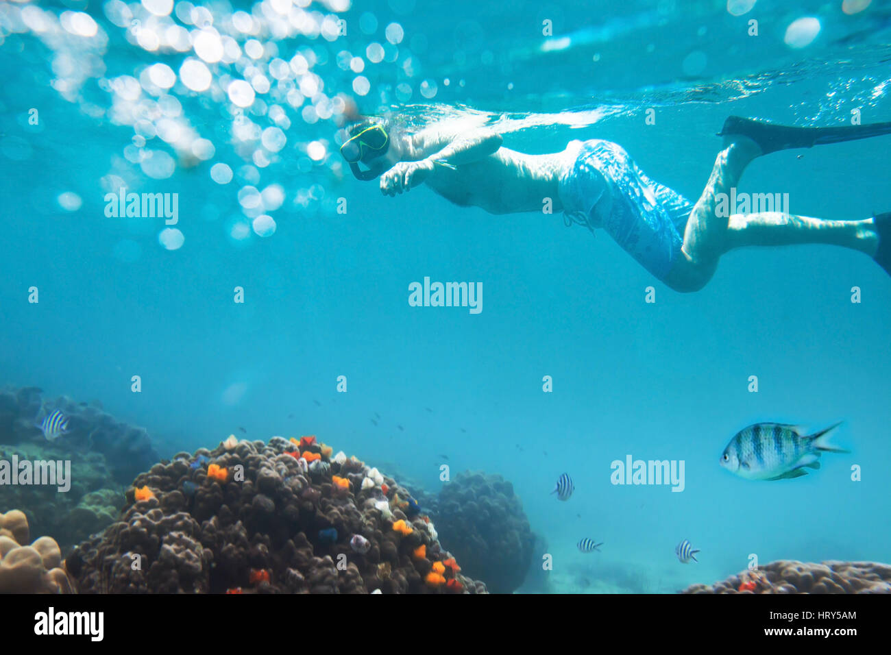 snorkeling with tropical beach, active tourism Stock Photo
