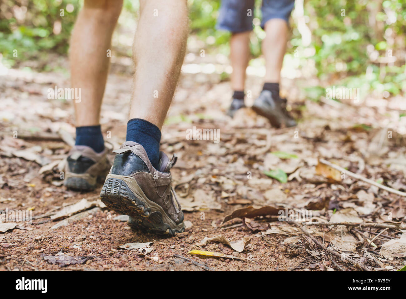 hiking in the forest, closeup of feet of hiker, summer trekking Stock Photo