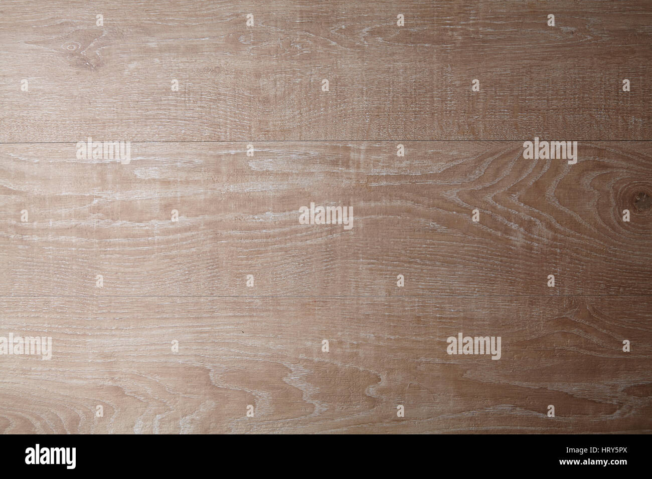 Construction of beech and pine trees High Resolution Stock Photography and Images Alamy