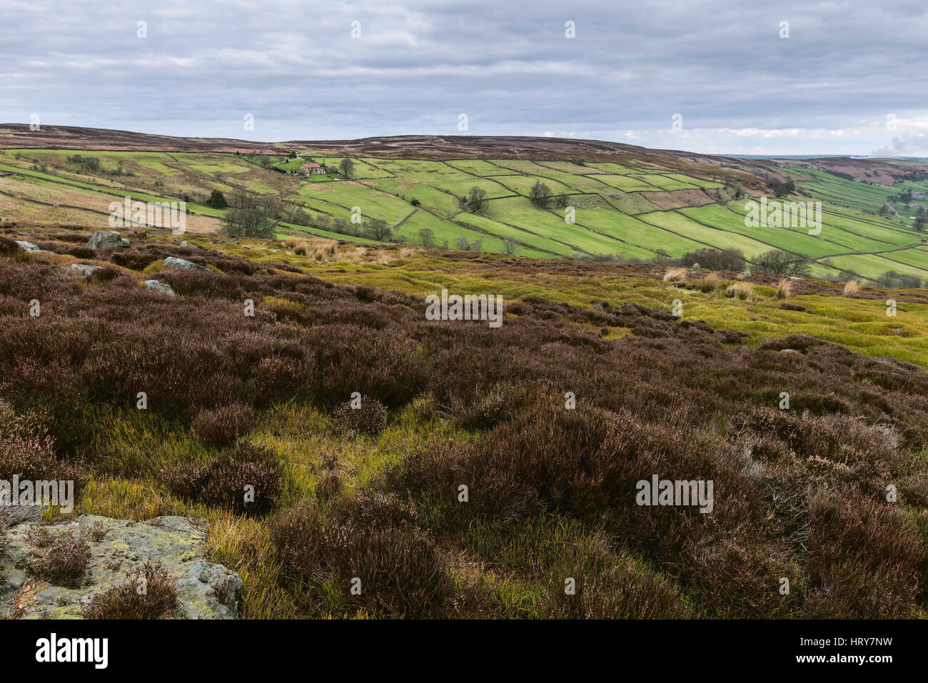 Glaisdale, Yorkshire, UK. The North York Moors National Park on a bright spring morning showing the rolling landscape with bolder, farmhouse, fields,  Stock Photo