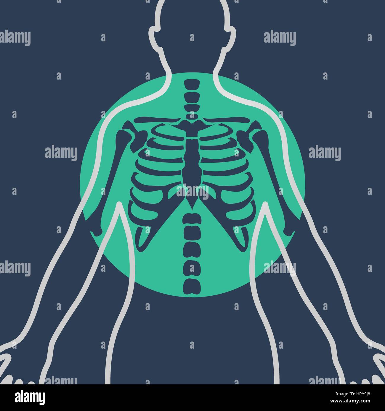 Thorax radiography Stock Vector Images - Alamy