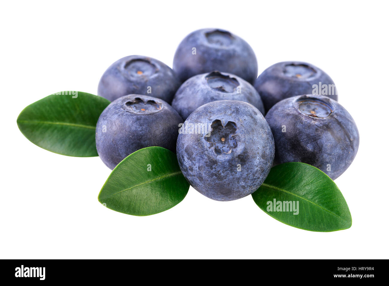 Blueberries isolated on white. Image included clipping path Stock Photo