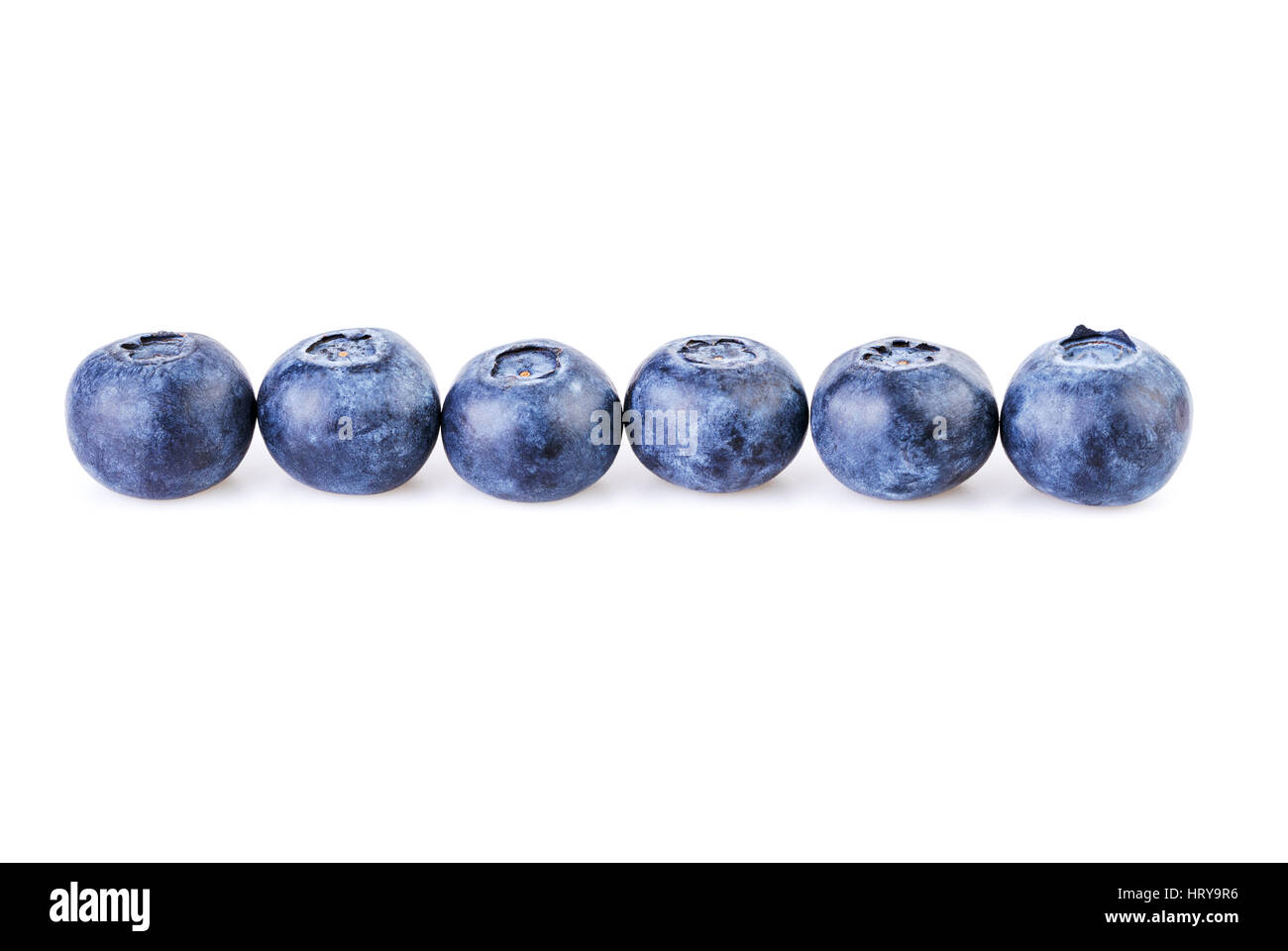 blueberries in a row straight line isolated on white background Stock Photo