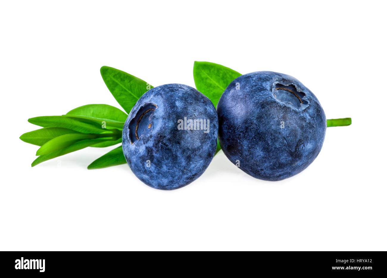 two blueberries with green leaf isolated on white in close up Stock Photo