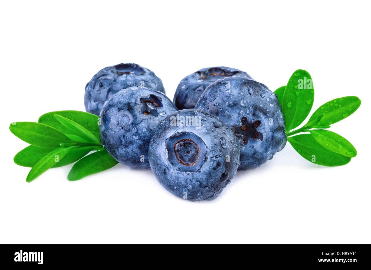 blueberries with green leaf organic berry isolated on white close up Stock Photo