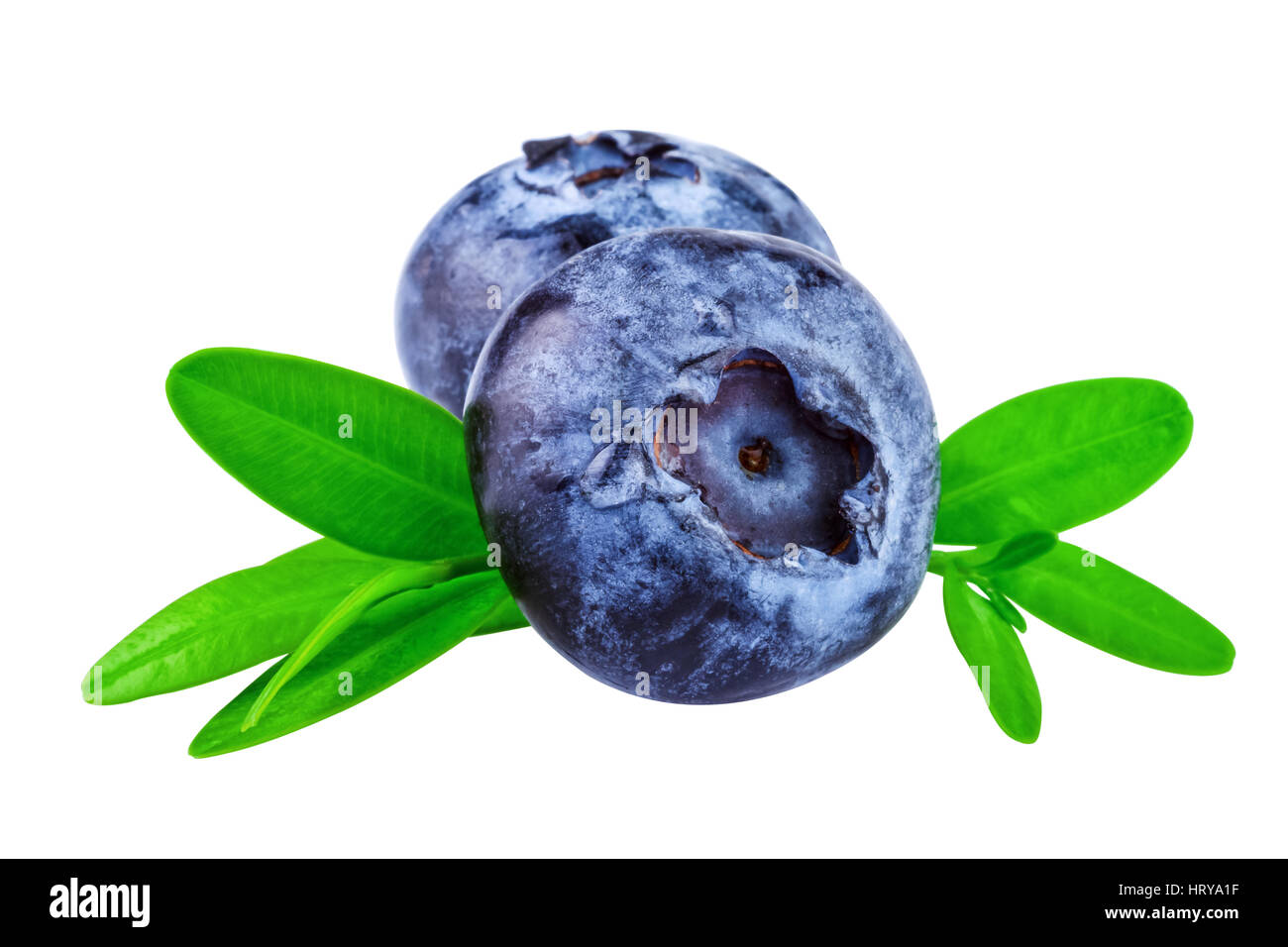 Blueberries isolated on white background. Two blueberry with clipping path Stock Photo