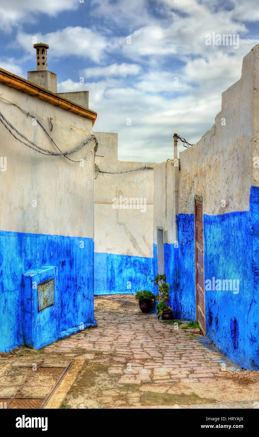Famous blue and white houses at the Kasbah of the Udayas in Rabat, a