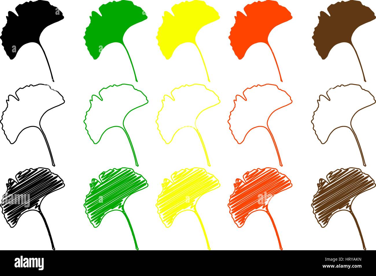 ginkgo leaf - color set Stock Vector